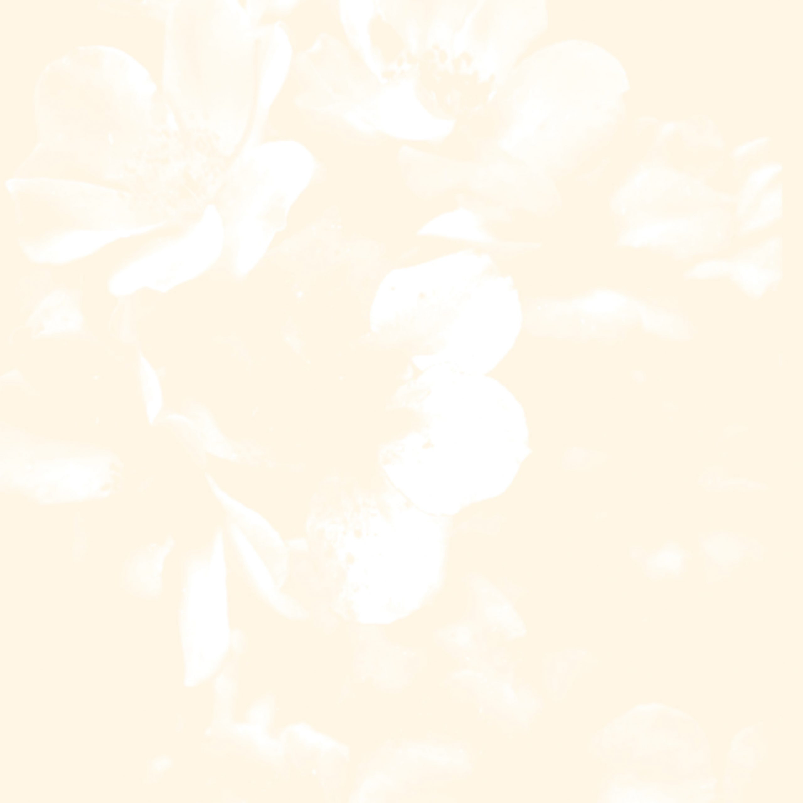 maka art background
