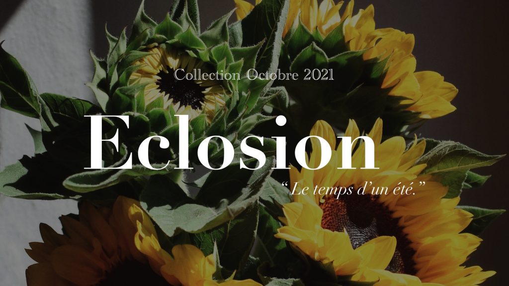 Collection Octobre 2021