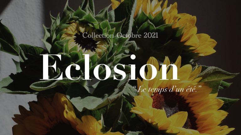 Collection Octobre 2021