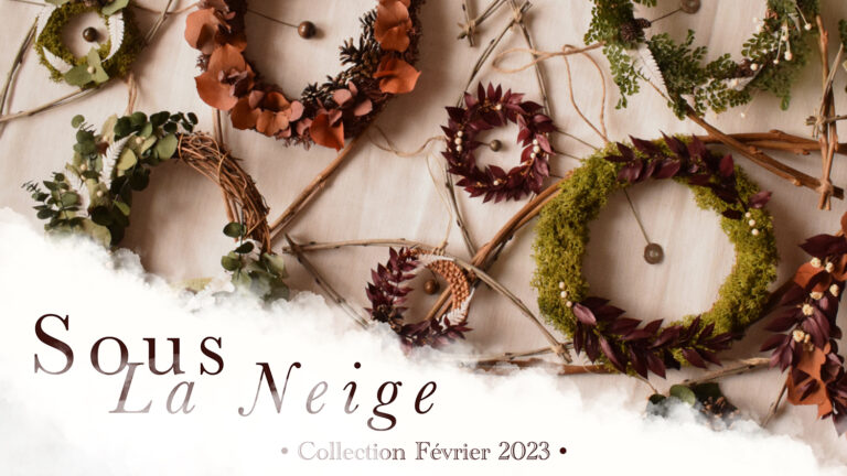 Couv Co Sous la neige