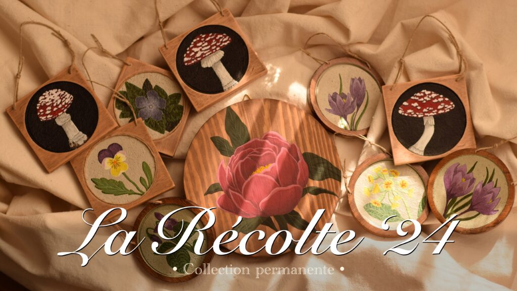co la recolte 24