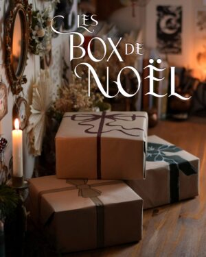 Les Box de Noël