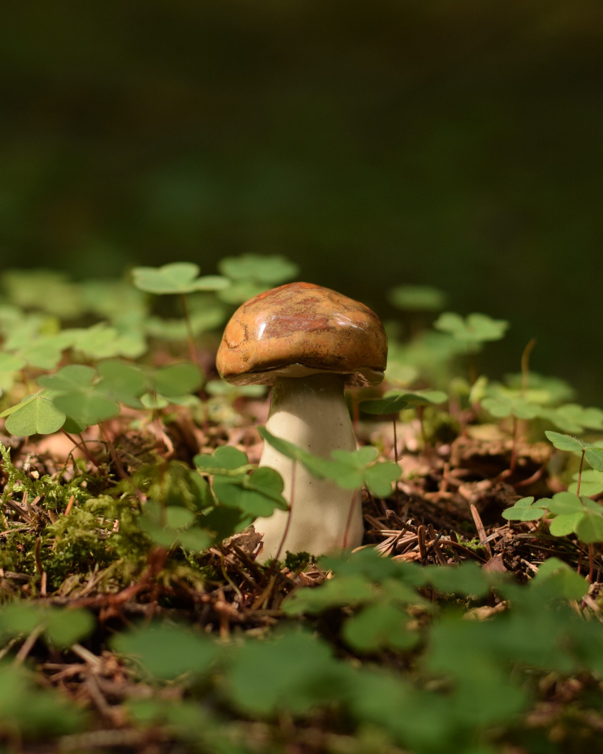 DSC_0155~2